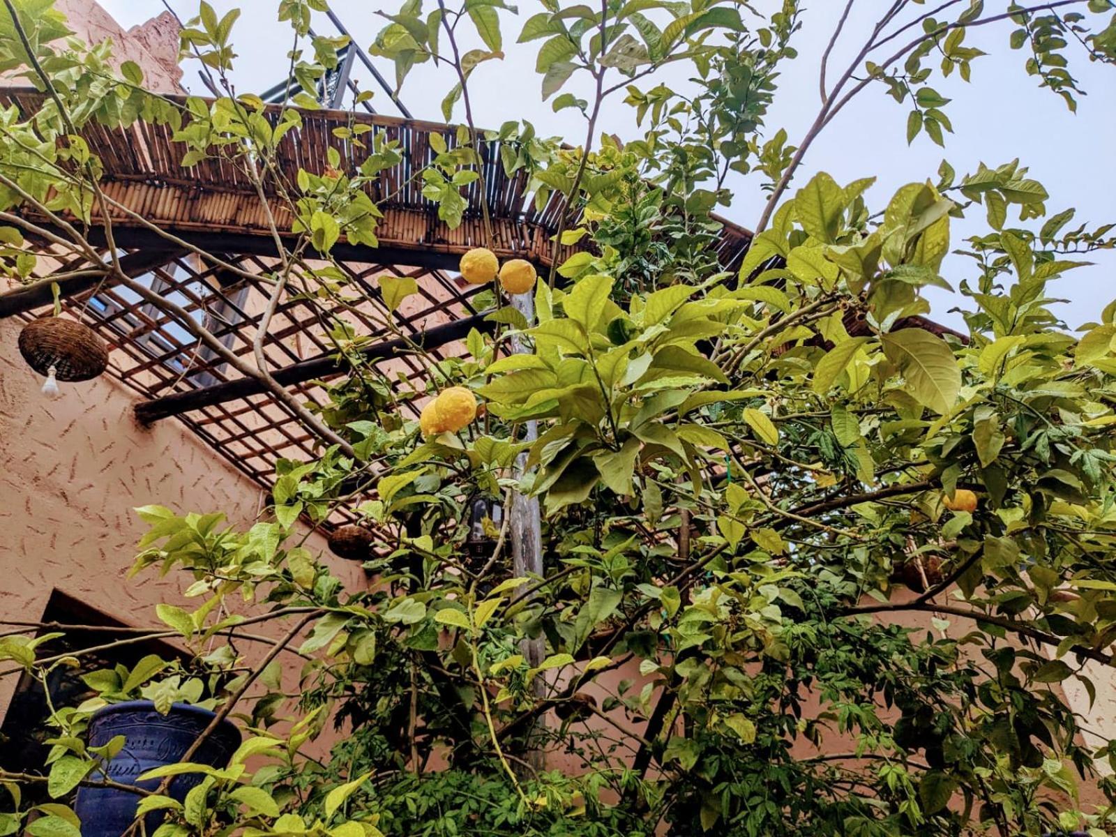 Dar Soulaimane Hotel Asguine Kültér fotó